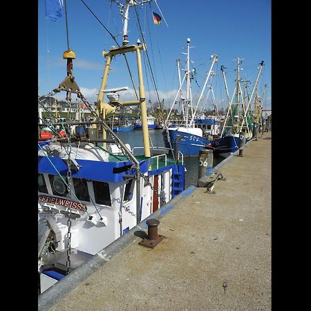 Neu! Fewo Sankt Florian Naehe Heide, Spo, Buesum Lehe  Extérieur photo